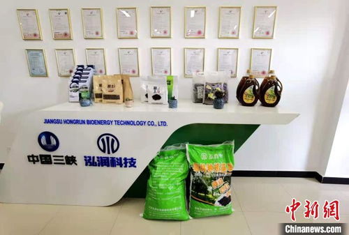 科技賦能長江生態(tài)修復(fù) 岸上綠意盎然，水中碧波重現(xiàn)